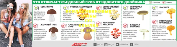дурь Алексеевка