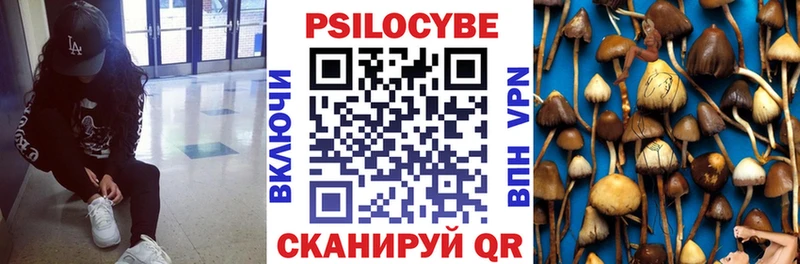shop телеграм  Кимры  Псилоцибиновые грибы Psilocybine cubensis 